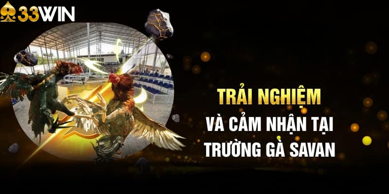 Cách tham gia trải nghiệm tại trường gà Savan