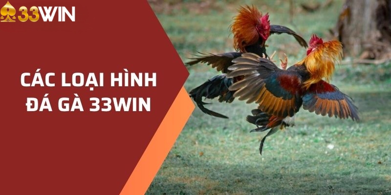 Các loại hình cá cược tại đá gà 33WIN