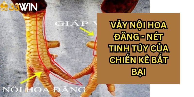 Vảy gà nội hoa đăng